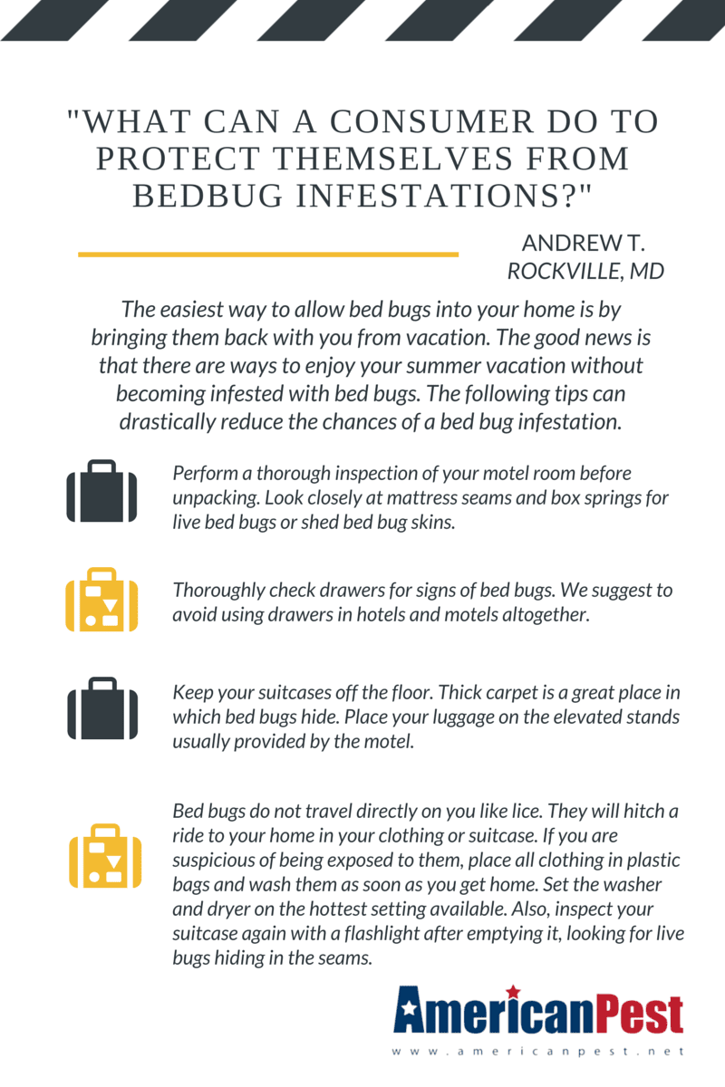 bed bug tips infographic