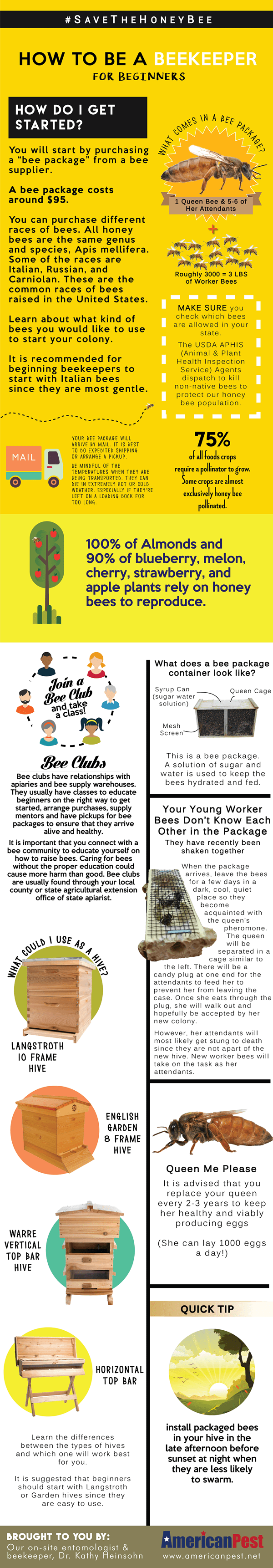 beginner beekeeping infographic
