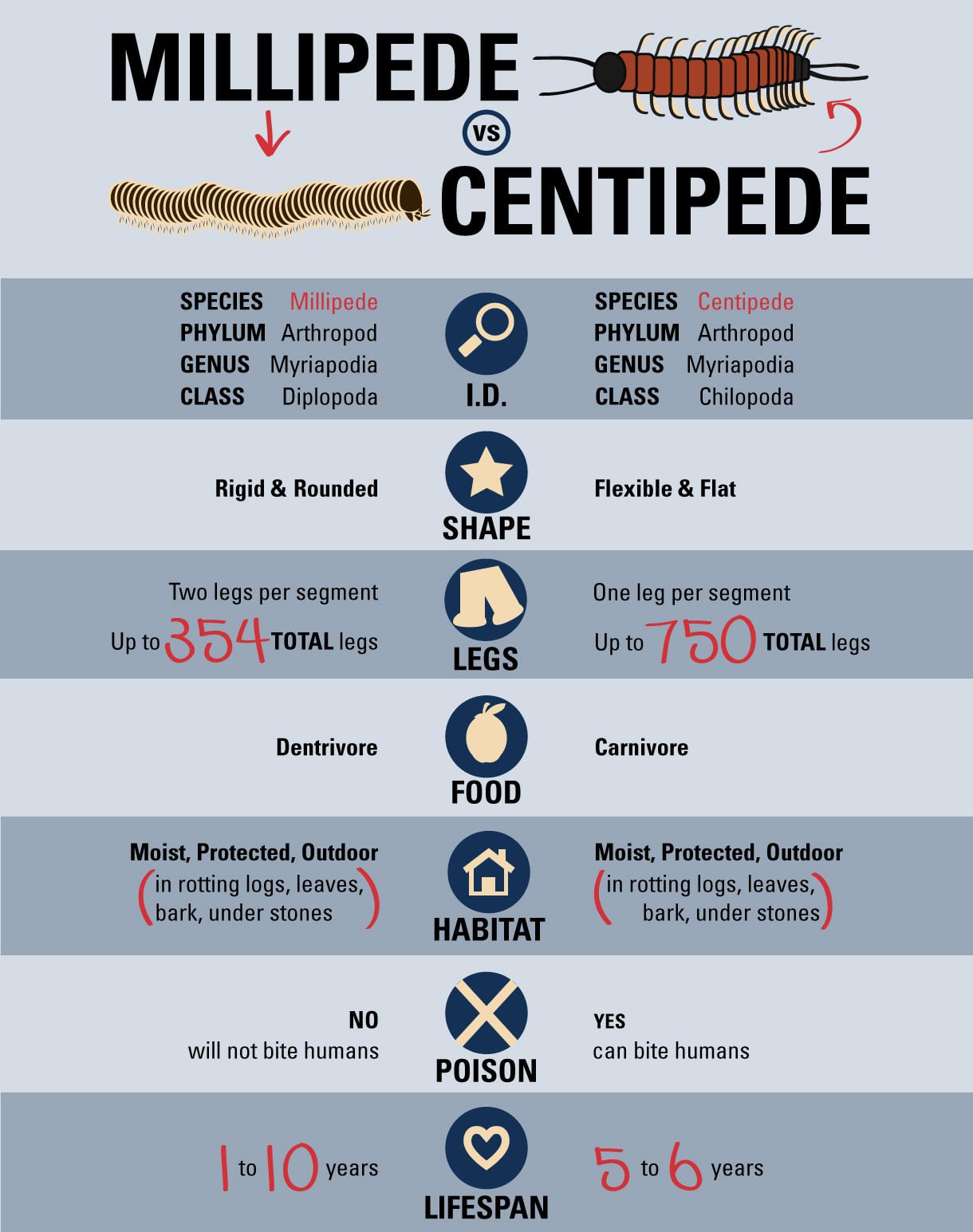 infographic displaying the differences between millipedes and centipedes