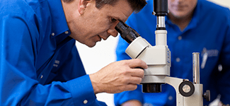 entomologist looking in microscope