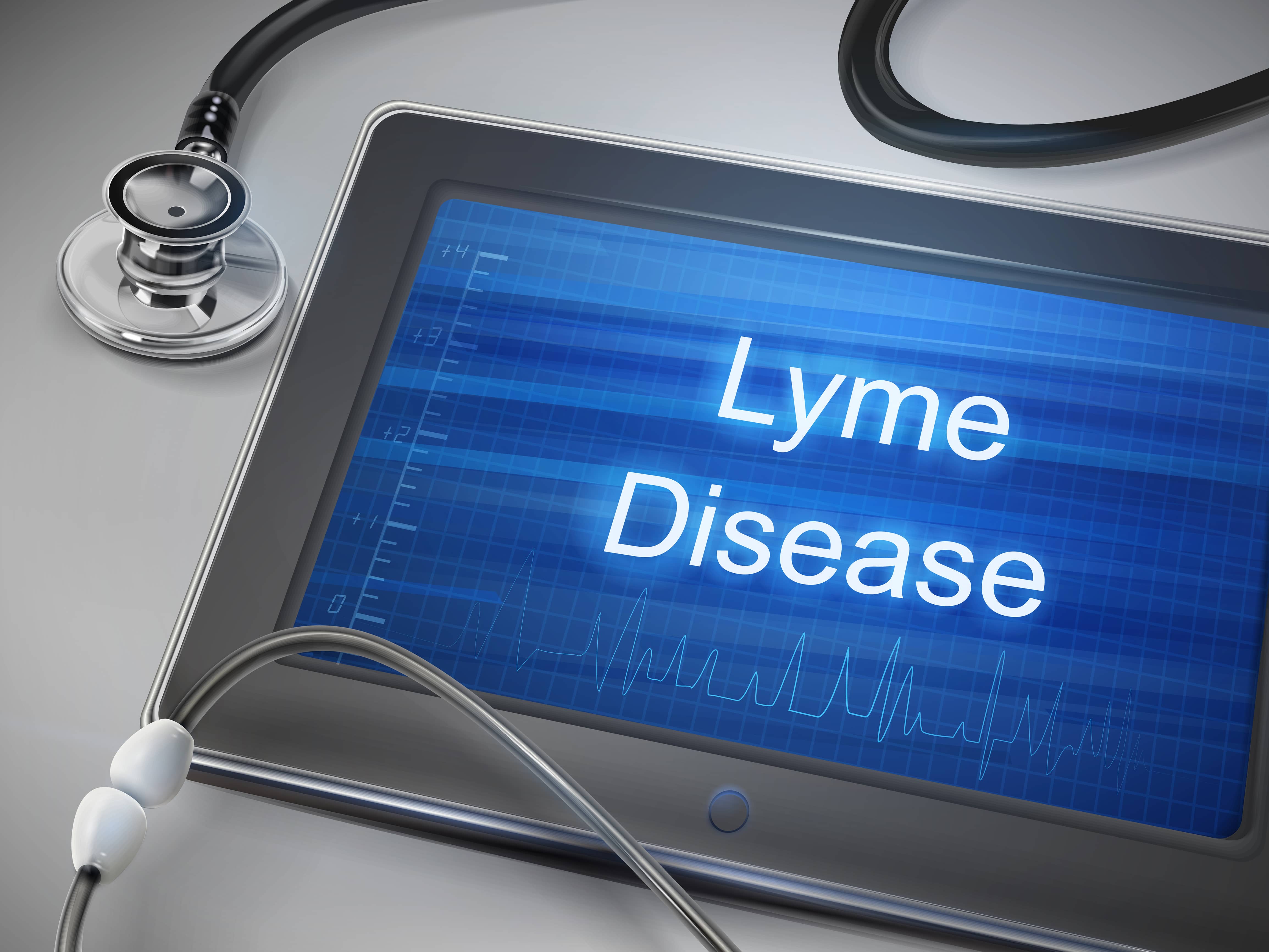 lyme disease awareness American Pest