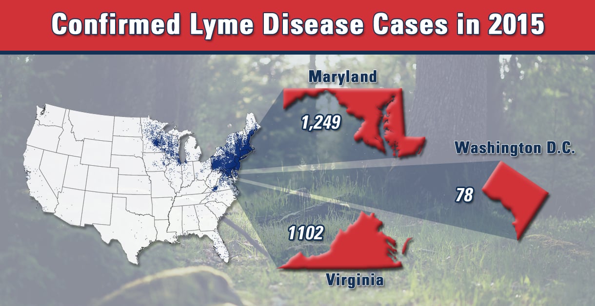 an info graphic showing the 2015 statistics for lyme disease cases 