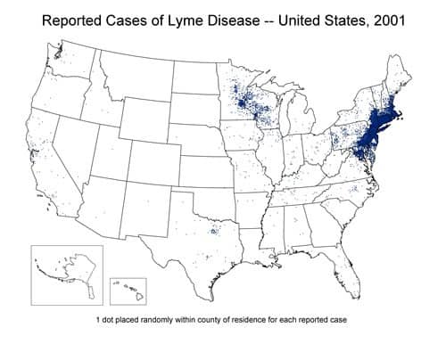 Lyme Disease Map American Pest