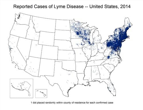 Lyme Disease Map American Pest