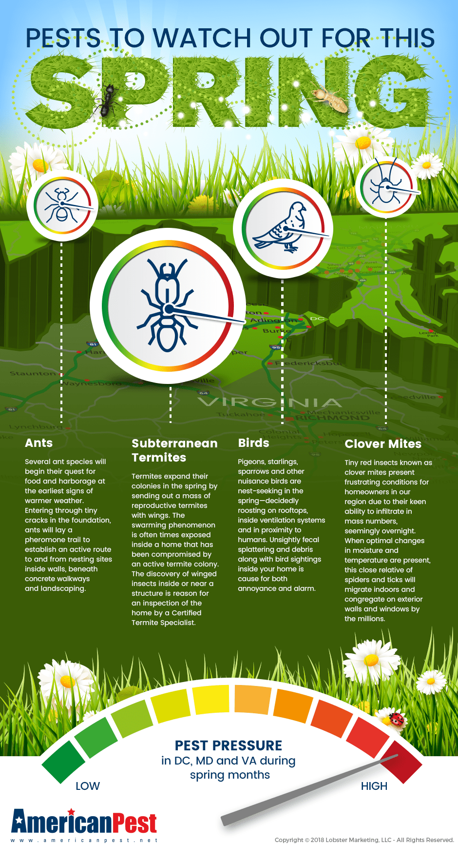 illustration of different kinds of pests 