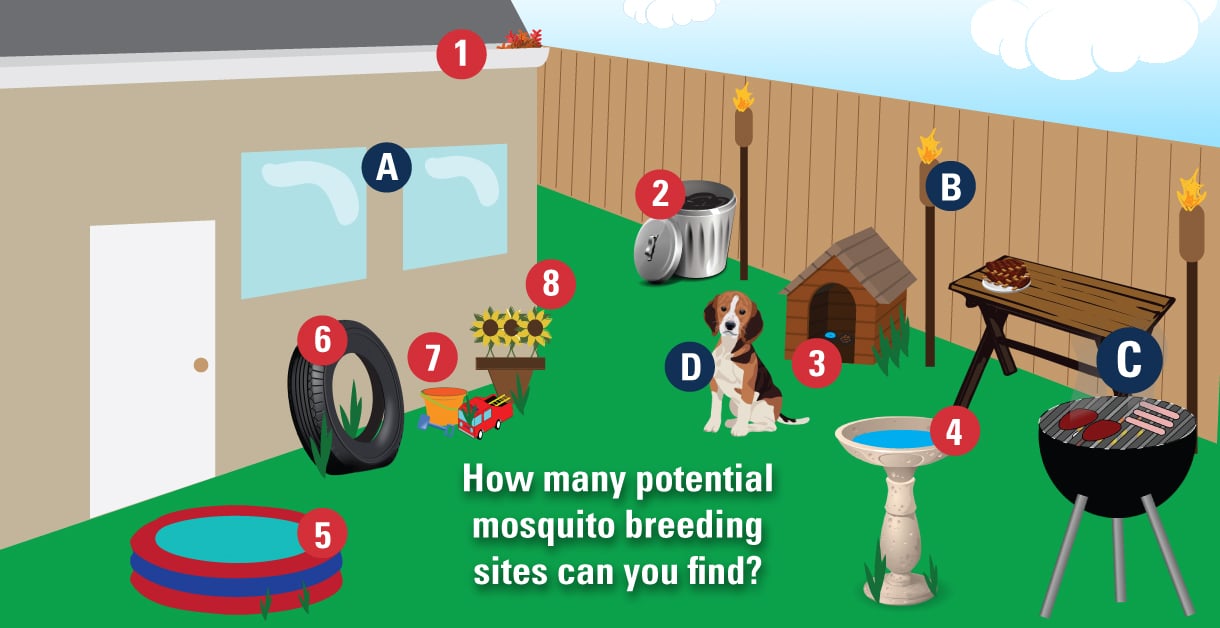 numbered graphic showing mosquito breeding sites around washington dc home