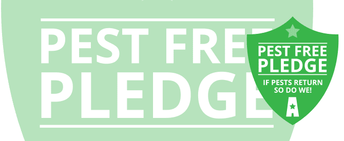 pest free pledge